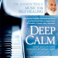 Deep Calm [CD] Weil, Andrew and Leeds, Joshua