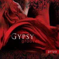 Gypsy Grooves [CD] Priyo