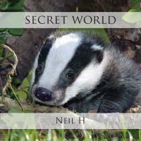 Secret World [CD] Neil H