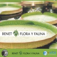 Flora y Fauna [CD] Benet