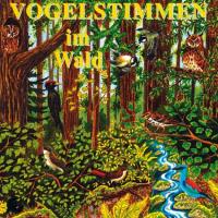 Vogelstimmen im Wald [CD] 