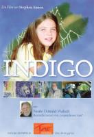 Indigo - der Spielfilm [DVD] Simon, Stephen