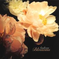 Blossoms [CD] Andreas