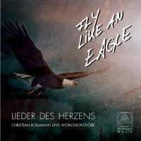 Fly Like An Eagle [CD] Bollmann, Christian