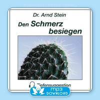 Den Schmerz besiegen [mp3 Download] Stein, Arnd