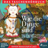 Wie die Dinge sind [mp3-CD] Lama Ole Nydahl