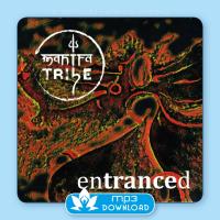 Entranced [mp3 Download] Mantra Tribe