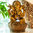 Zimmerbrunnen Ganesha 40 cm Kunstharz inklusive Pumpe und LED Licht