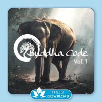 Buddha Code Vol. 1 [mp3 Download] Vogt, Tim