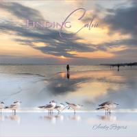 Finding Calm [CD] Rogers, Andy