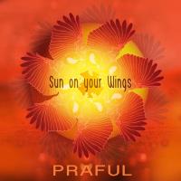 Sun on Your Wings [CD] Praful