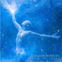 In the Love [CD] Liquid Mind XV